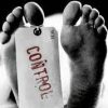 CONTROL 1.0 (DVD) = THEORY 11 / WAYNE HOUCHIN