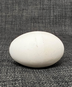 Multiplying eggs (white) by Uday - Trick