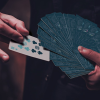 Owl (Blue) Playing Cards
