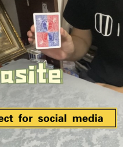 Parasite by Dingding video DOWNLOAD