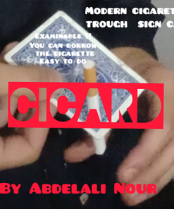 Cicard by Abdelali Nour video DOWNLOAD