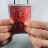 Sky Vanish RED (Gimmick and online instructions) by Sultan Orazaly - Trick
