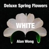 Deluxe Spring Flowers WHITE by Alan Wong - Trick Deluxe Spring Flowers WHITE by Alan Wong - Trick