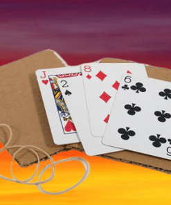 Fantastic (Bicycle Back) - Roydon / Casino Magic