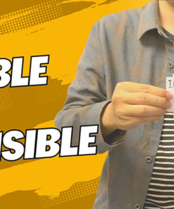 The Vault - Visible or Invisible by Dingding video DOWNLOAD