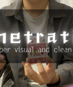 Penetration by Dingding video DOWNLOAD
