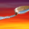 Tornado Spoon - Kikuchi Tornado Spoon - Kikuchi