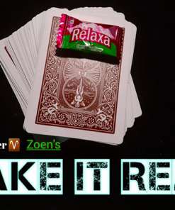 Make it Real by Tybbe Master & Zoen's video DOWNLOAD