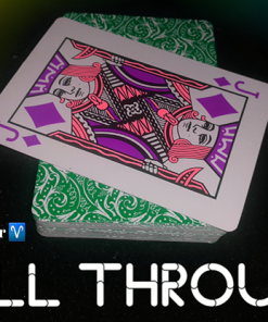 Pull Through by Tybbe Master & Zoen's video DOWNLOAD
