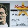 James Dean Indiana DRIVERS LICENSE SOUVENIR James Dean Indiana DRIVERS LICENSE SOUVENIR