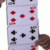 Card Panel Production