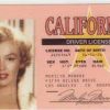 Marylin Monroe California DRIVERS LICENSE SOUVENIR Marylin Monroe California DRIVERS LICENSE SOUVENIR