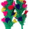 MULTIPLYING FEATHER BOUQUET MULTIPLYING FEATHER BOUQUET