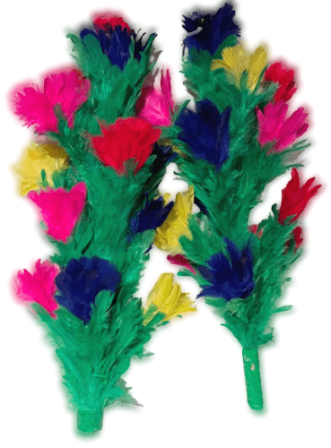 MULTIPLYING FEATHER BOUQUET MULTIPLYING FEATHER BOUQUET