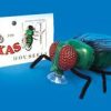 Texas Housefly (Prank)