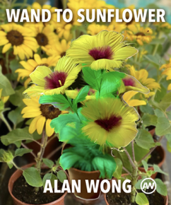 WAND TO SUNFLOWER LARGE by Alan Wong  - Trick