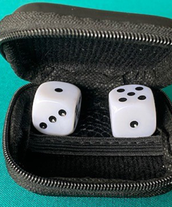 LS Dice by Leo Smetsers - Trick LS Dice by Leo Smetsers - Trick