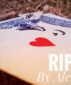 The Vault - Riptide by Alex Soza video DOWNLOAD The Vault - Riptide by Alex Soza video DOWNLOAD