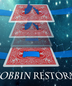 Silk Restoration by Dinging video DOWNLOAD