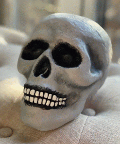 Dr. Neff Skull (Rubber) - Steve Myers