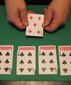 Wild Card Wild Card