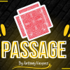 Passage BLUE (Gimmicks and Online Instructions) by Anthony Vasquez - Trick
