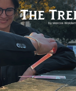THE TREE by Marcos Waldemar & Invisible Compass video DOWNLOAD THE TREE by Marcos Waldemar & Invisible Compass video DOWNLOAD