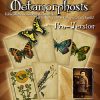 Methamorphosis (Pro Version) - Card Shark