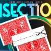 Bisection BLUE by Armanujjaman Abir - Trick