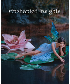 ENCHANTED INSIGHTS BLUE (English Instruction) by Magic Entertainment Solutions - Trick