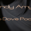 Pro Dove Pocket (Heavy Weight) by Andy Amyx - Trick