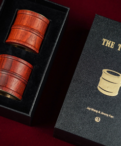 The Tunnel by Artisan Coin - Trick The Tunnel by Artisan Coin - Trick