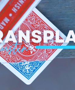 Transplant by Agustin video DOWNLOAD