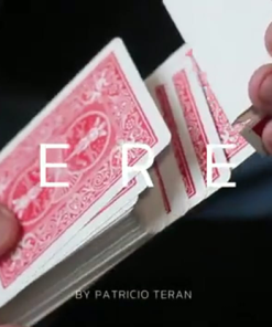 EVEREST by Patrick Teran