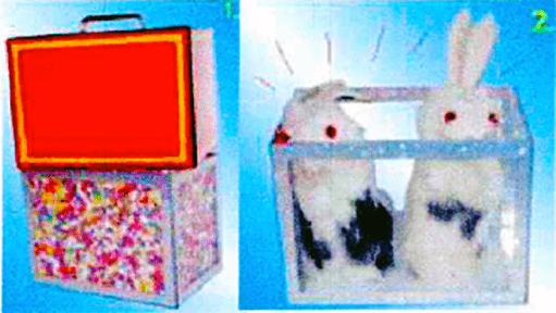 Confetti Box - Paul Picha ESTATE Confetti Box - Paul Picha ESTATE