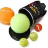 Tennis Chop Cup - Stephane Bourgoin           ESTATE