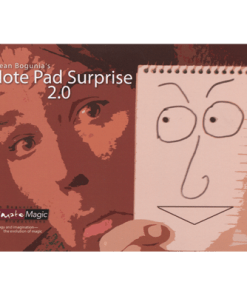 Note Pad Surprise 2.0 - Sean Bogunia