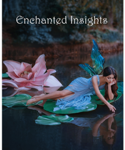 ENCHANTED INSIGHTS BLUE (German Instruction) by Magic Entertainment Solutions - Trick