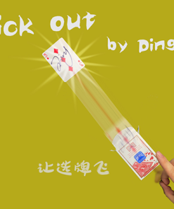 Flick Out by Dingding video DOWNLOAD