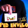 Clipped Envelopes by Tybee Master video DOWNLOAD Clipped Envelopes by Tybee Master video DOWNLOAD