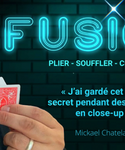 Fusion (Red) by Mickael Chatelain