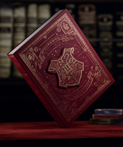 Harry Potter Box Sets by theory11
