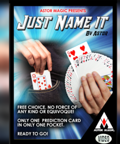 JUST NAME IT by ASTOR