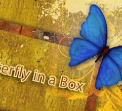 Butterfly In a Box - Mark Presley Butterfly In a Box - Mark Presley