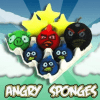Angry Sponges - Chris Ballinger      ESTATE