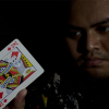 MANIPULATION by MUZA MAGIC x DING DING MANIPULATION by MUZA MAGIC x DING DING