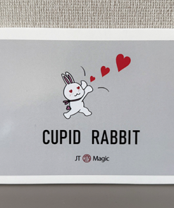 Cupid Rabbit by JT