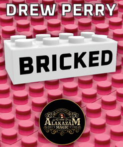 Bricked by Drew Perry