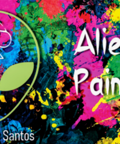 Alien Painting Kit by Alien Magic
