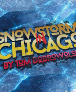 Bigblindmedia Presents Snowstorm In Chicago (Blue) by Tom Dobrowolski